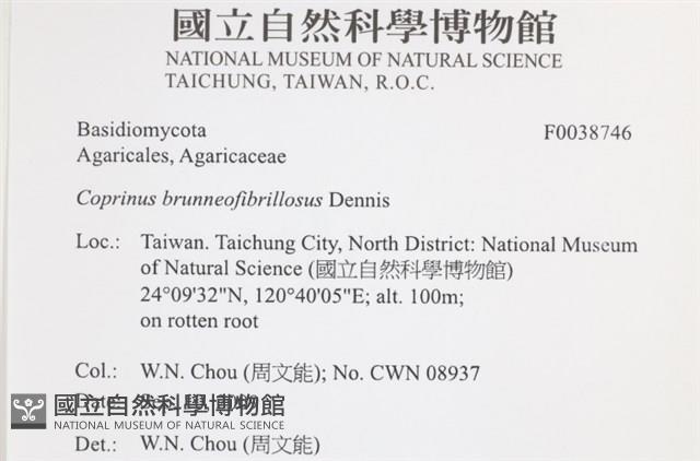 Accession Number:F0038746 Collection Image, Figure 2, Total 3 Figures