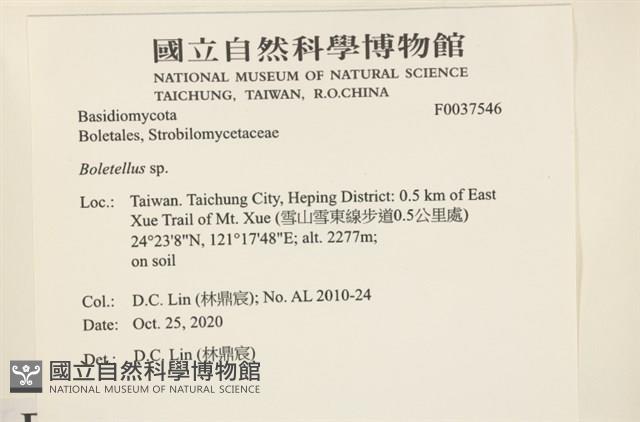 登錄號:F0037546藏品圖，第2張