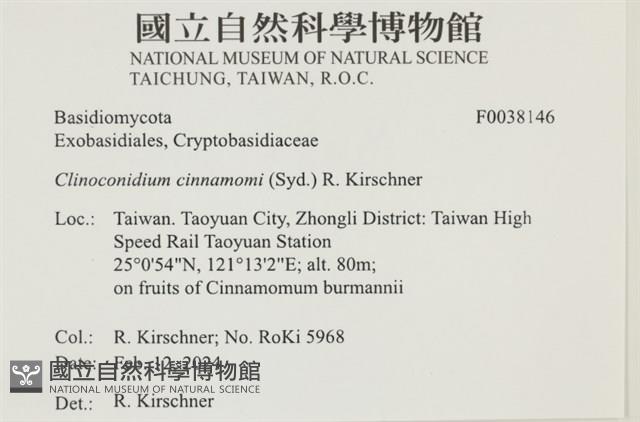 登錄號:F0038146藏品圖，第2張