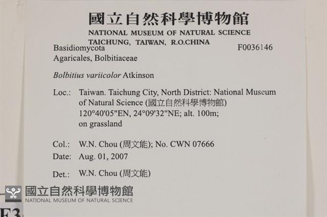 登錄號:F0036146藏品圖，第2張