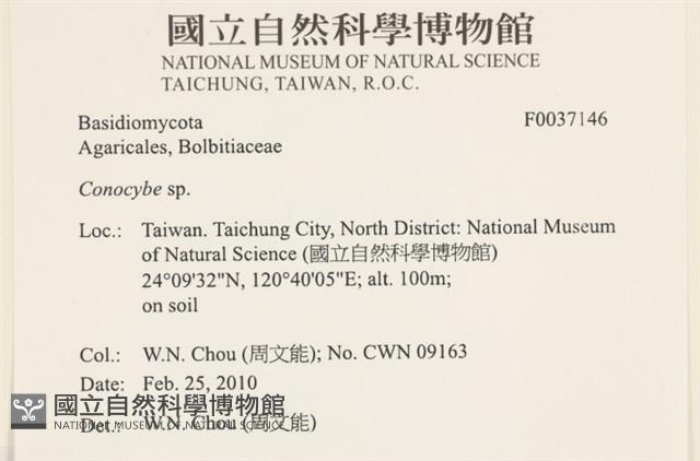 登錄號:F0037146藏品圖，第2張
