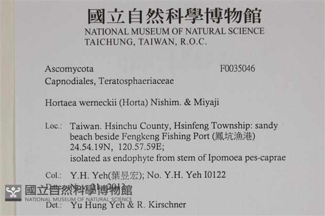 登錄號:F0035046藏品圖，第2張