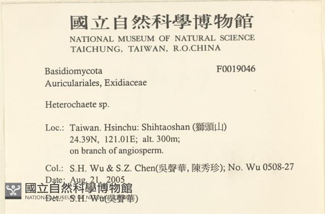刺皮菌屬藏品圖，第2張