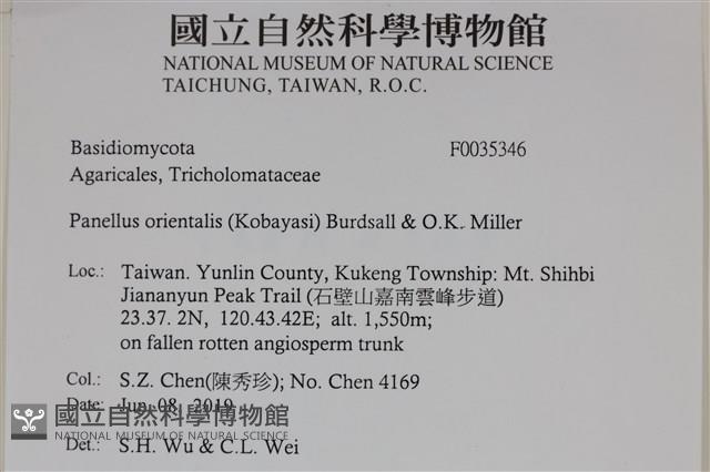 登錄號:F0035346藏品圖，第2張
