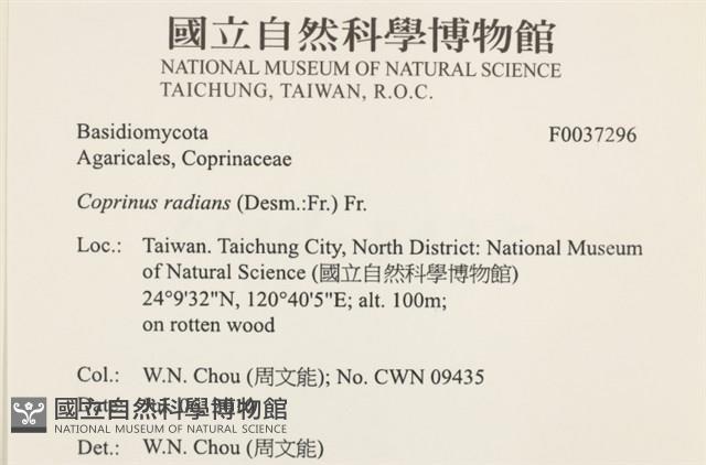 登錄號:F0037296藏品圖，第2張