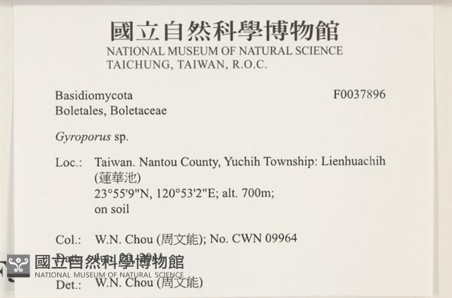 登錄號:F0037896藏品圖，第2張