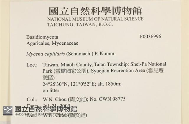 登錄號:F0036996藏品圖，第2張