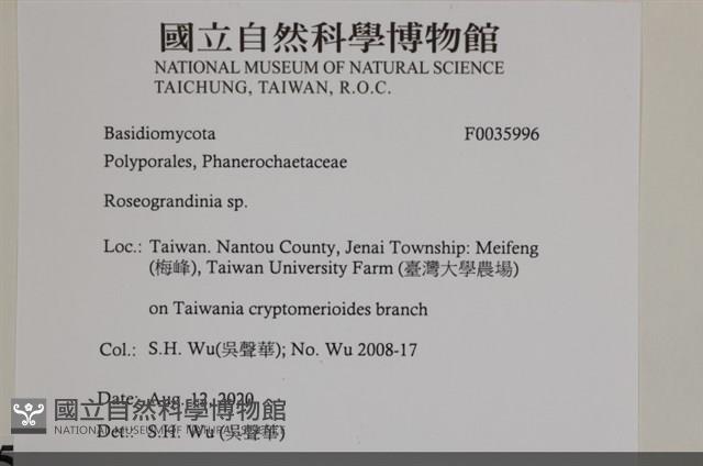 登錄號:F0035996藏品圖，第2張