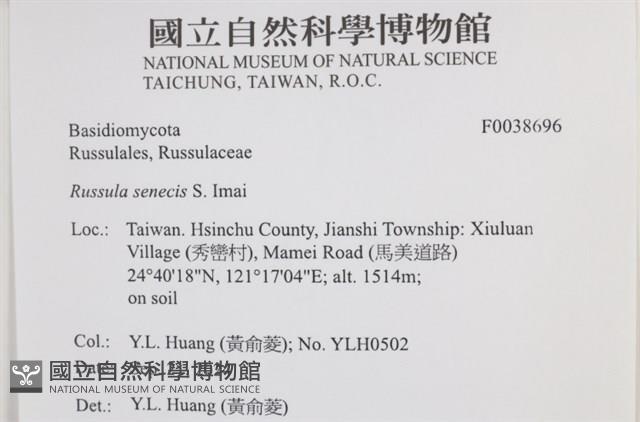 登錄號:F0038696藏品圖，第2張