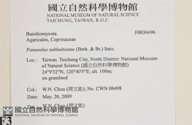 登錄號:F0036696藏品圖，第2張