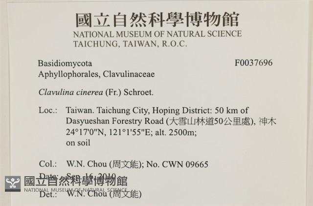 登錄號:F0037696藏品圖，第2張