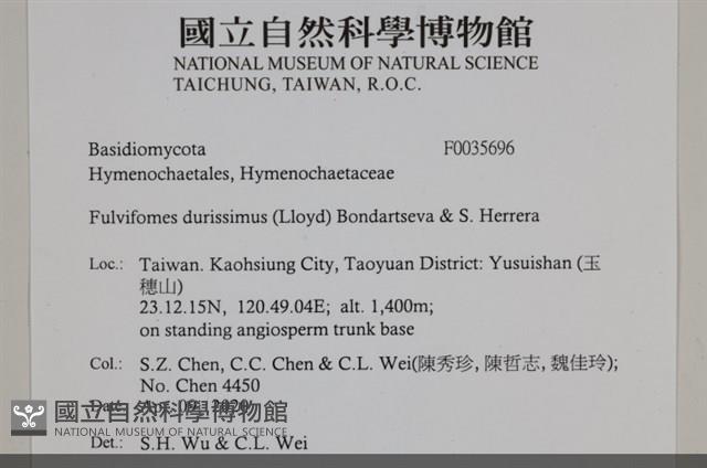 登錄號:F0035696藏品圖，第2張