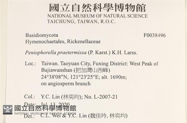 登錄號:F0038496藏品圖，第2張