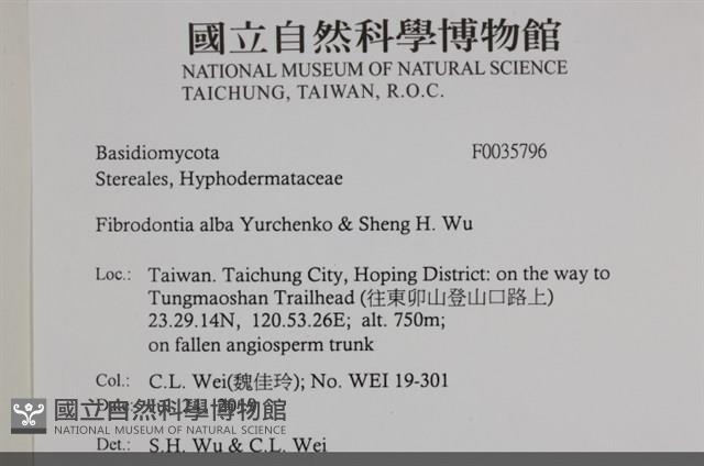 登錄號:F0035796藏品圖，第2張