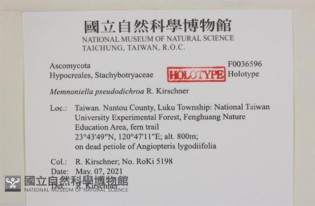 登錄號:F0036596藏品圖，第2張