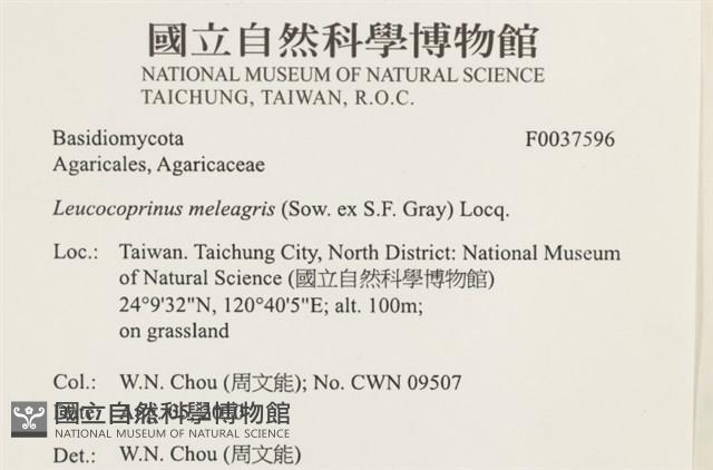 登錄號:F0037596藏品圖，第2張