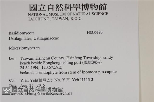 登錄號:F0035196藏品圖，第2張