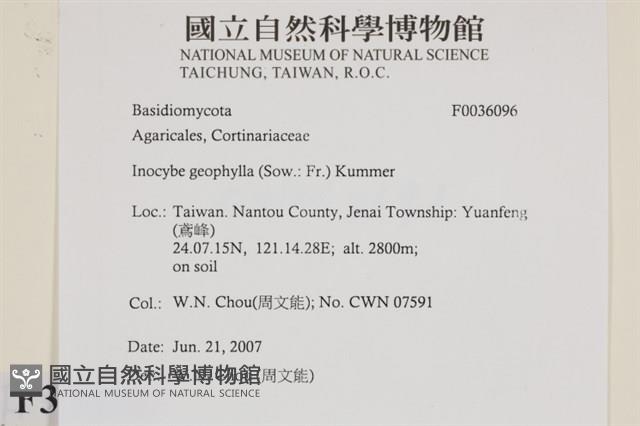 登錄號:F0036096藏品圖，第2張