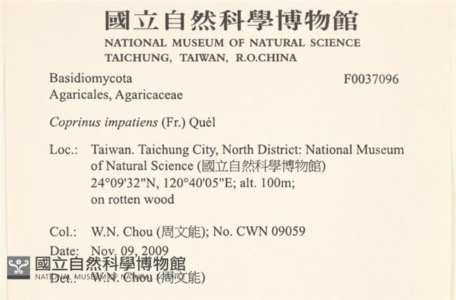 登錄號:F0037096藏品圖，第2張