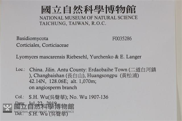 登錄號:F0035286藏品圖，第2張