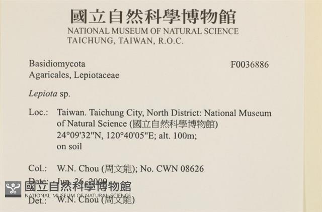 登錄號:F0036886藏品圖，第2張