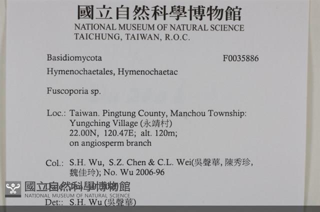 登錄號:F0035886藏品圖，第2張