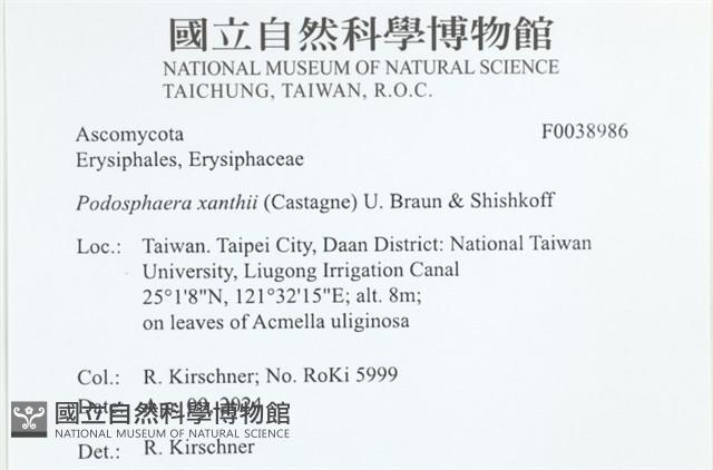 登錄號:F0038986藏品圖，第2張