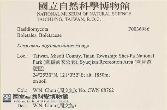 登錄號:F0036986藏品圖，第2張