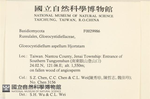 登錄號:F0029986藏品圖，第2張