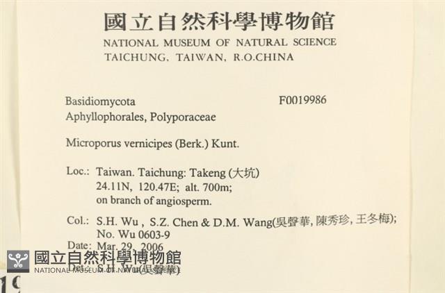登錄號:F0019986藏品圖，第2張
