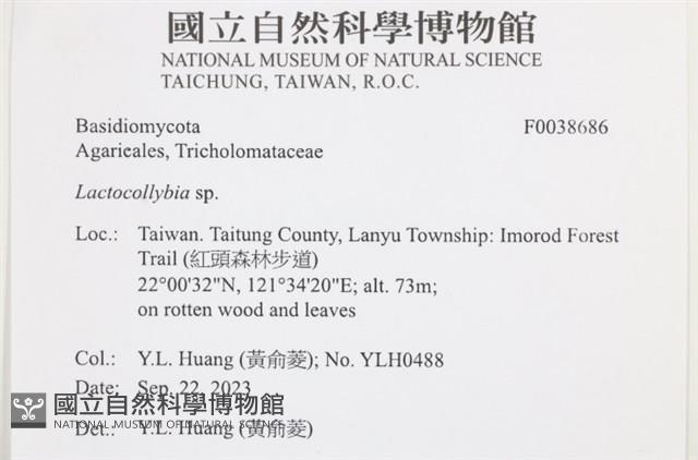 登錄號:F0038686藏品圖，第2張