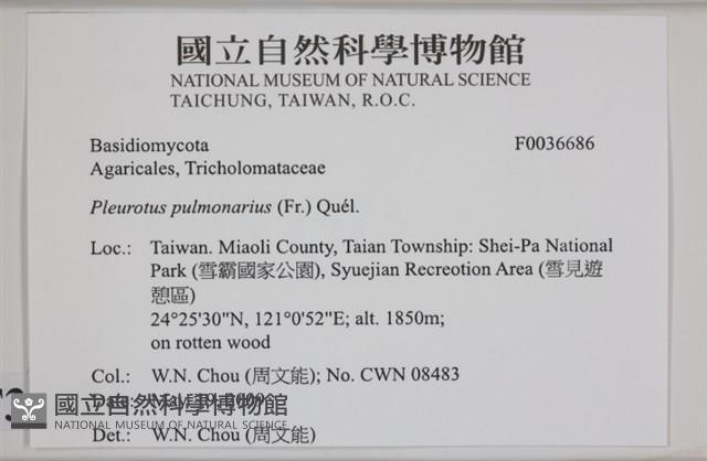 登錄號:F0036686藏品圖，第2張