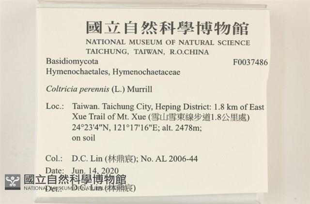 登錄號:F0037486藏品圖，第2張