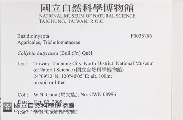 登錄號:F0038786藏品圖，第2張