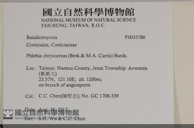 登錄號:F0033786藏品圖，第3張
