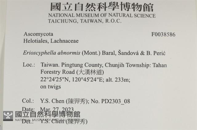 登錄號:F0038586藏品圖，第2張