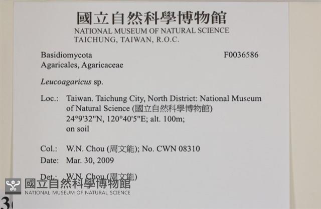 登錄號:F0036586藏品圖，第2張