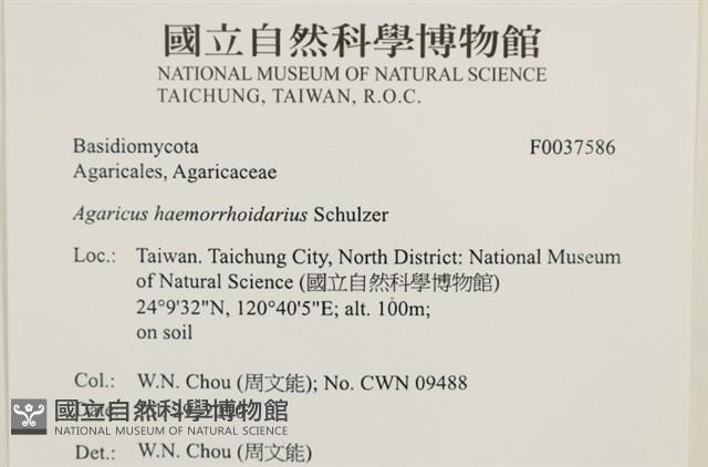 登錄號:F0037586藏品圖，第2張