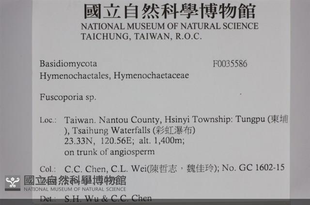 登錄號:F0035586藏品圖，第2張