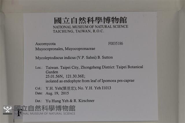 登錄號:F0035186藏品圖，第2張