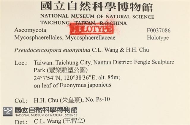 登錄號:F0037086藏品圖，第3張