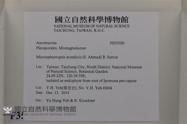 登錄號:F0035086藏品圖，第2張
