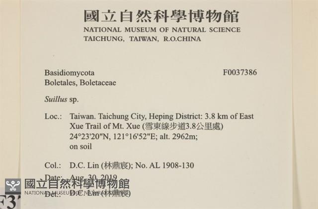 登錄號:F0037386藏品圖，第2張
