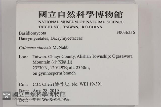 登錄號:F0036236藏品圖，第2張