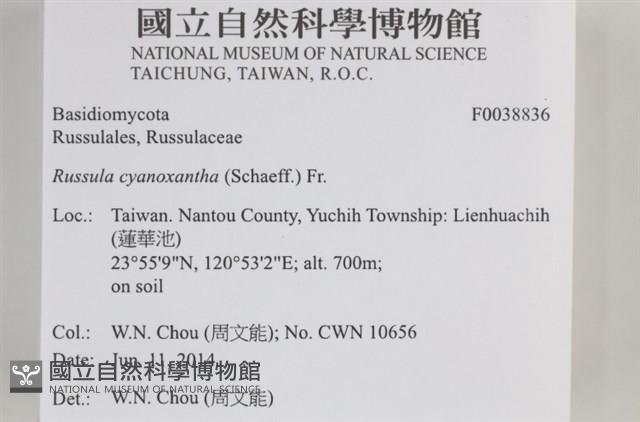 Accession Number:F0038836 Collection Image, Figure 2, Total 3 Figures