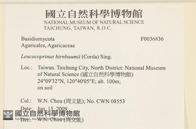 登錄號:F0036836藏品圖，第2張