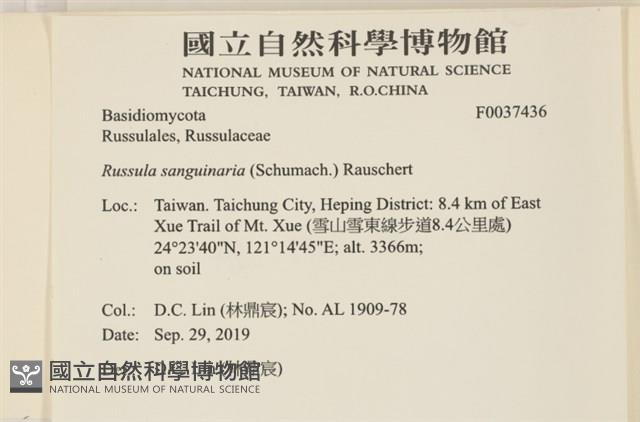 登錄號:F0037436藏品圖，第2張
