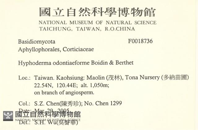 登錄號:F0018736藏品圖，第2張