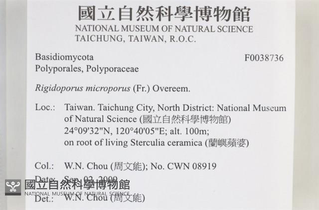 登錄號:F0038736藏品圖，第2張