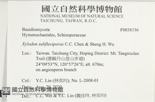 登錄號:F0038536藏品圖，第2張